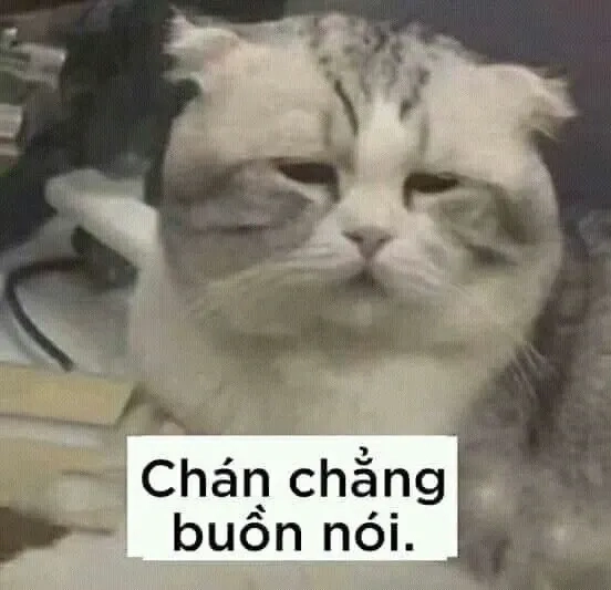 Biểu cảm đặc sắc từ meme ông chú yếu đuối