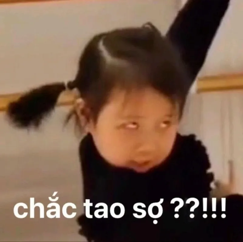 Khám phá meme gấu trúc vui nhộn đáng yêu khó cưỡng