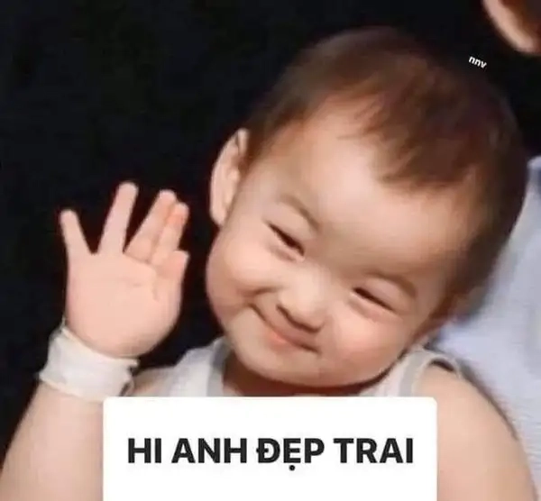 Khám phá meme mèo chào cực hài