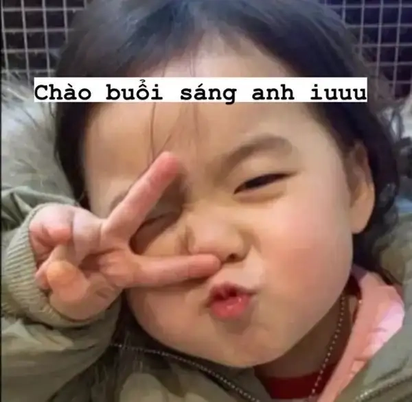 Meme mèo chào tạm biệt siêu ngầu