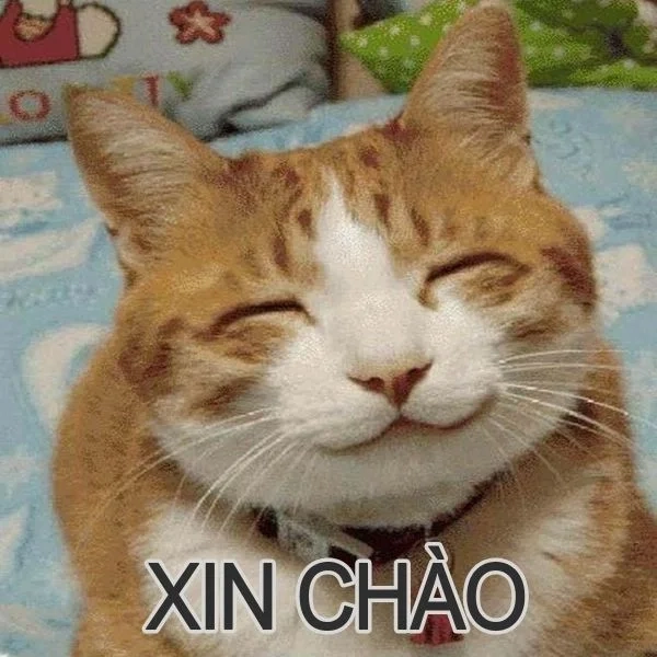 Chào tạm biệt meme đáng yêu dễ nhớ