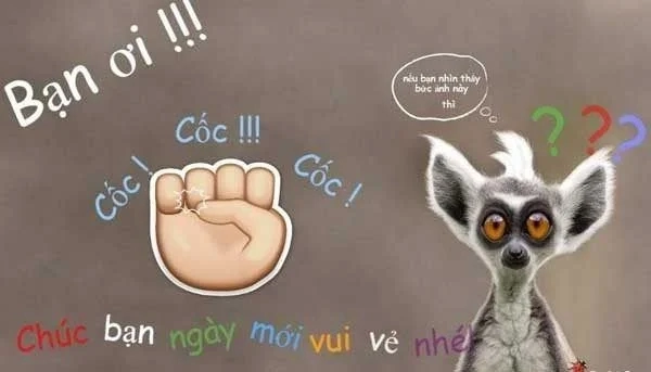 Meme chào em nha dễ thương và ngộ nghĩnh