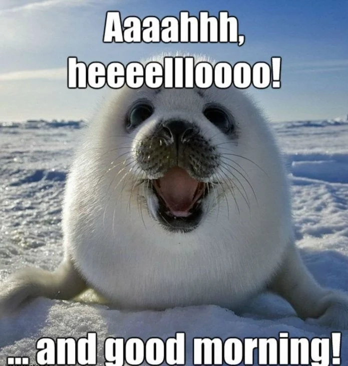 Meme chào em anh đứng đây từ chiều siêu hot