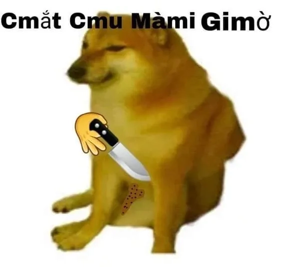 Cơ bắp cheems meme vietnam siêu mạnh mẽ