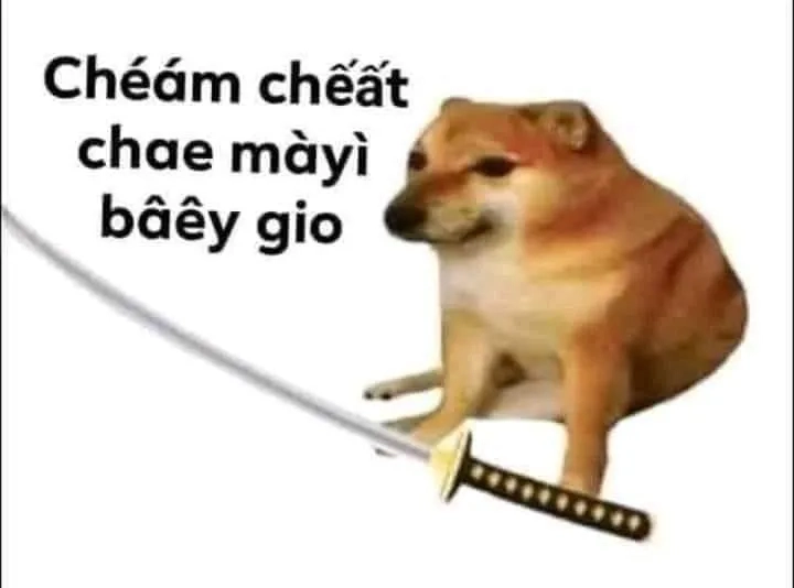 Xem ngay meme cheems bất ngờ hài hước