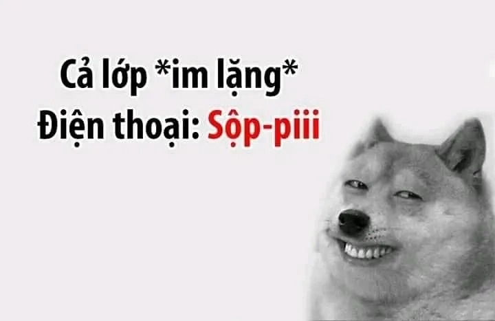 Bộ ảnh cheem meme cheems độc đáo