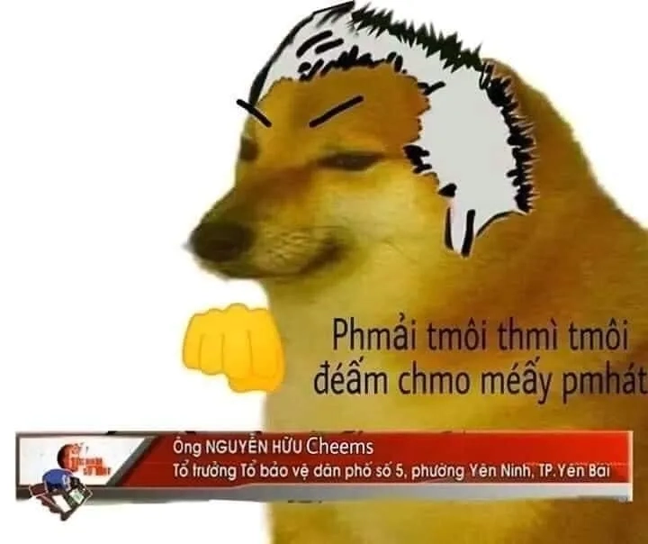 Thư giãn với hài hước meme cheems cực chất