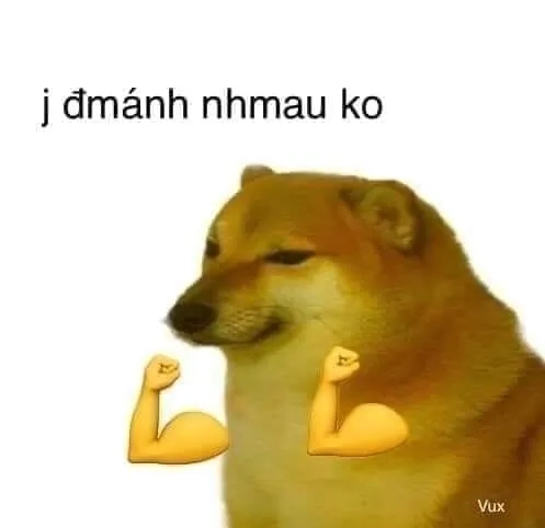 Shiba inu shiba inu dog meme làm ai cũng bật cười.