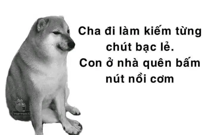 Chó cheems meme là hình ảnh vui nhộn được yêu thích.