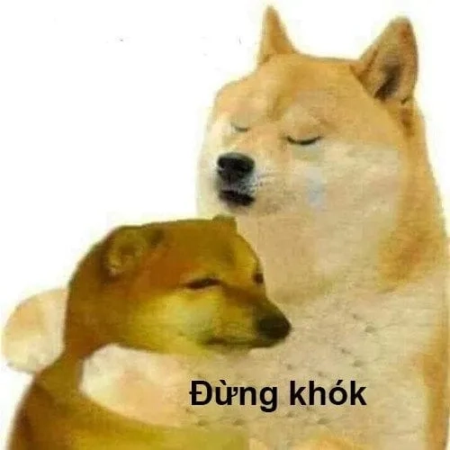 Shiba meme chó shiba lan tỏa tiếng cười khắp nơi.