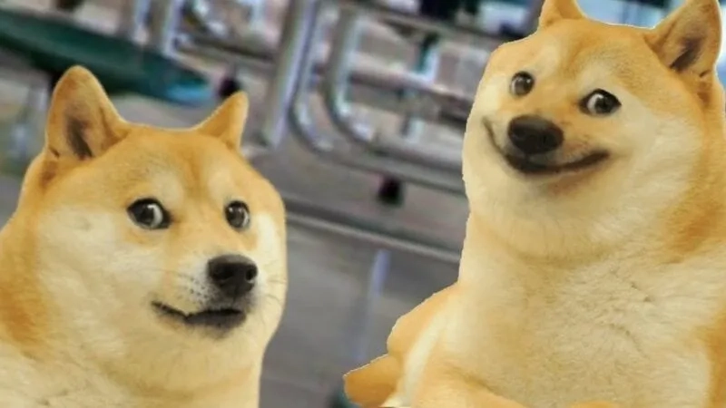 Shiba inu meme coin đầy sáng tạo, gắn liền với tiếng cười.