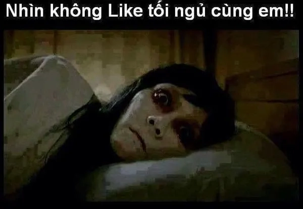 Ngủ meme đáng yêu sẽ làm bạn thích thú