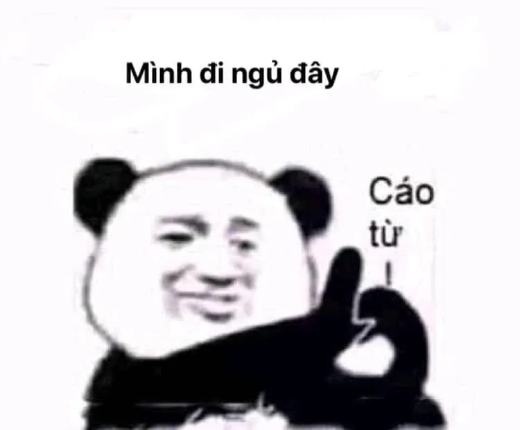 Đầy năng lượng với meme mèo ngủ dậy