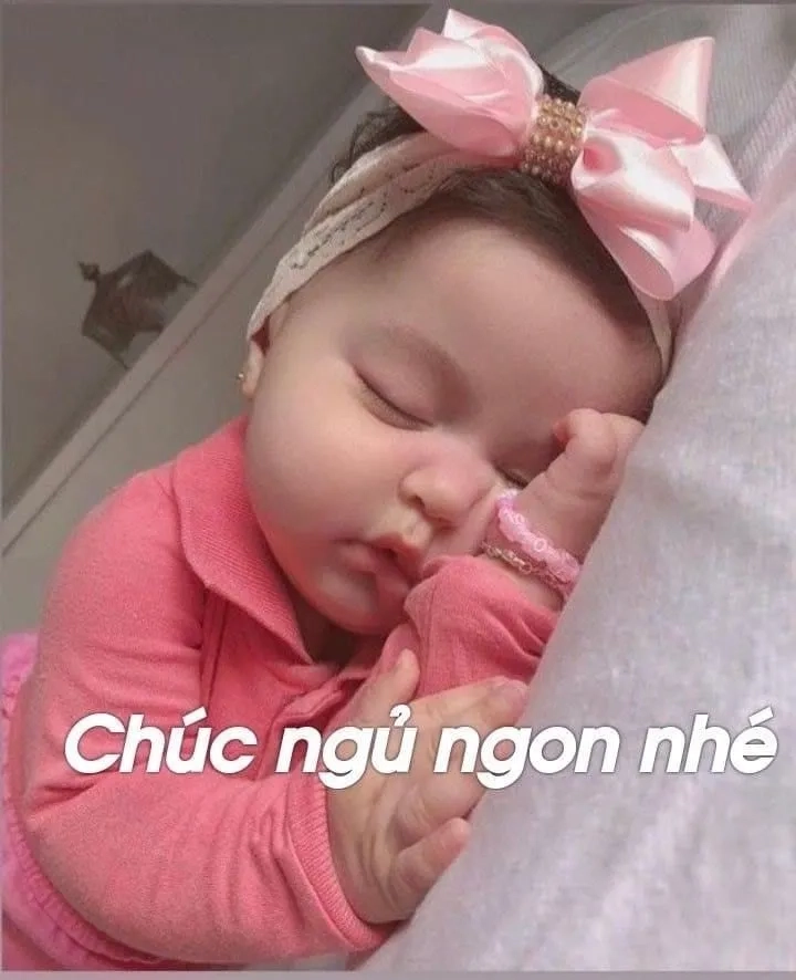 Chia sẻ mèo ngủ ngon meme để thư giãn