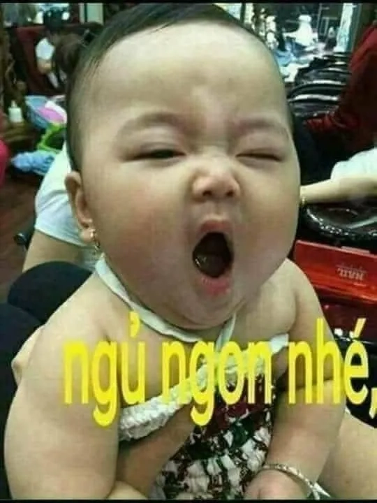 Chúc bạn ngủ ngon qua good night meme mèo chúc ngủ ngon