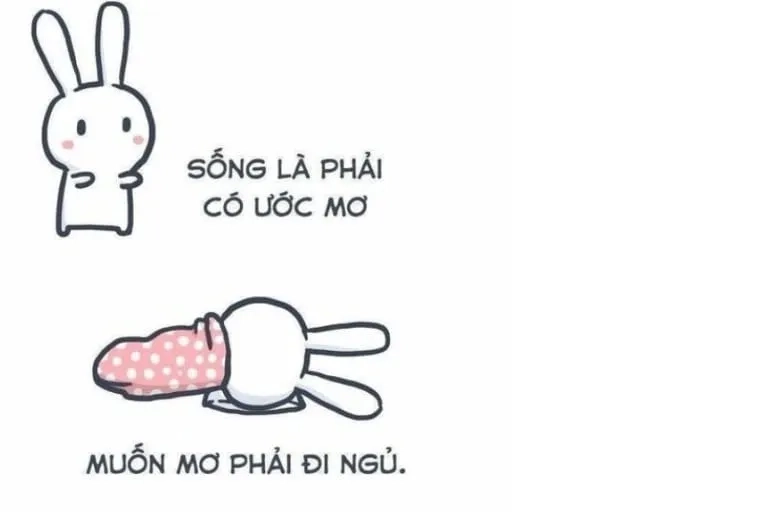 Gửi tặng bạn một meme gấu trúc ngủ ngon dễ mến