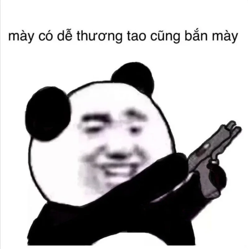 Meme mèo chửi làm câu chuyện thêm phần thú vị