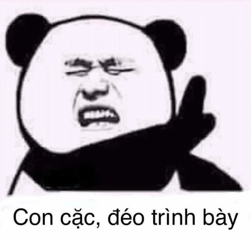 Duolingo chửi meme cho thấy sự sáng tạo độc đáo