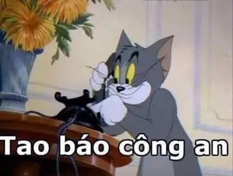 Tất xanh công an meme làm nên điểm nhấn khác biệt