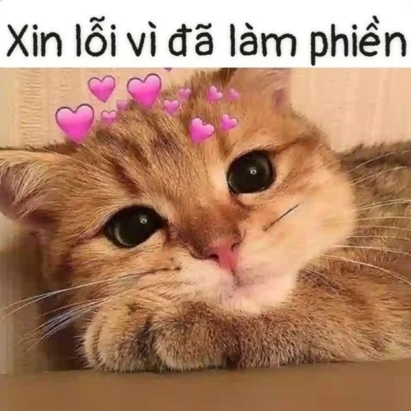 Tìm kiếm ngay tức giận ảnh meme dỗi mèo cute siêu đáng yêu