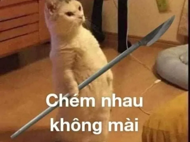 Meme đánh vào lưng chắc chắn sẽ làm bạn bật cười