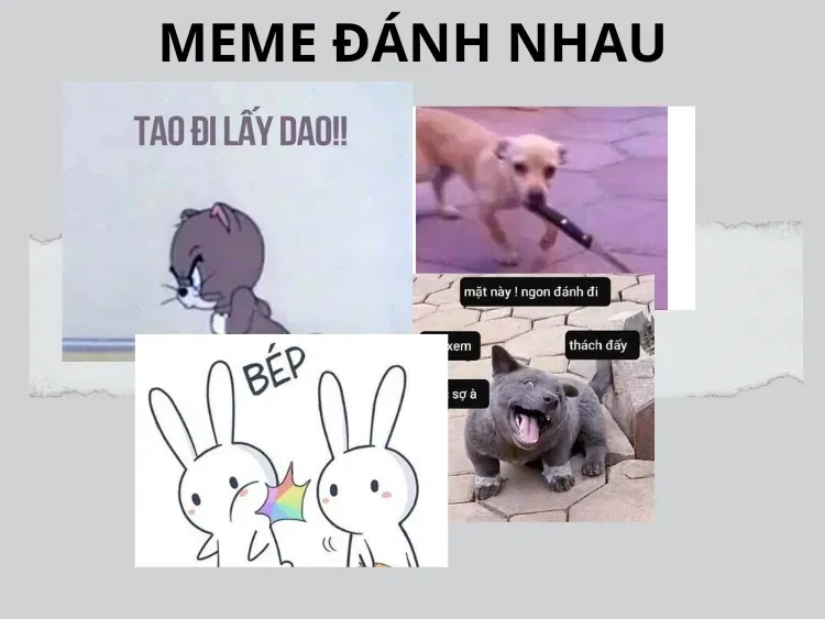 Meme đánh vai luôn khiến bạn phải bật cười