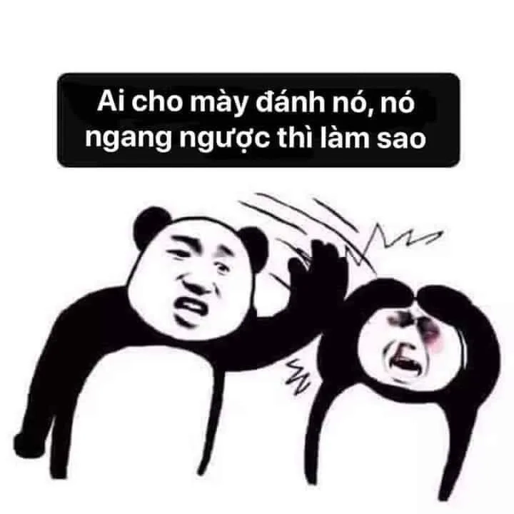 Meme mèo đánh giá cực kỳ đáng yêu và dễ thương