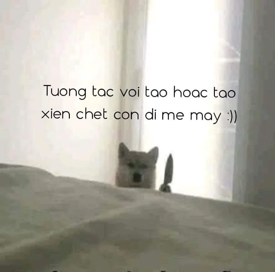 Tải về Cheems Doge meme PNG miễn phí