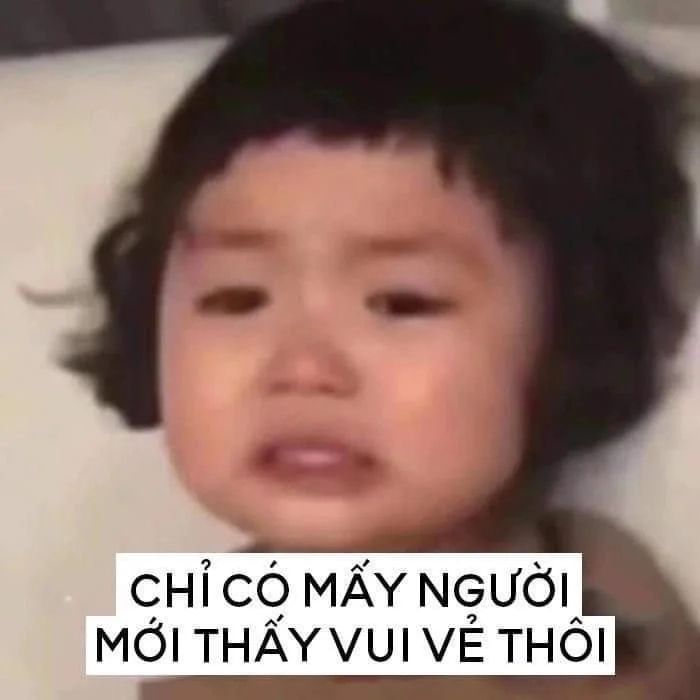 Meme mèo dỗi cute quá đáng yêu để cưỡng lại