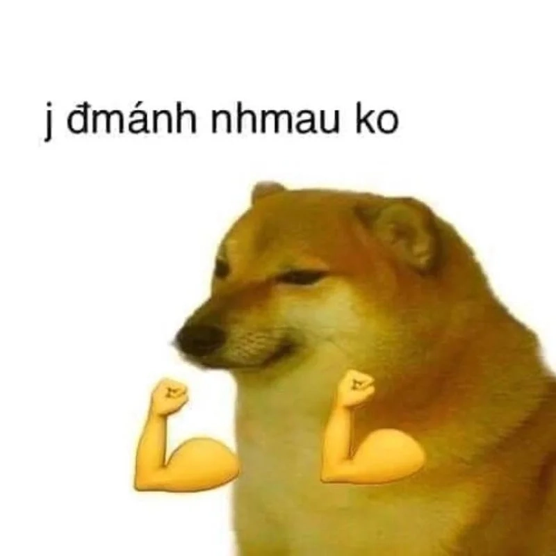 Giận dỗi meme dành cho những ai muốn giải trí