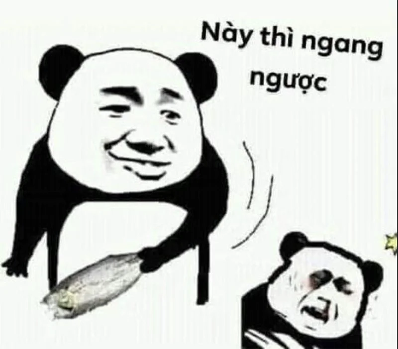 Meme con mèo dỗi với biểu cảm siêu hài