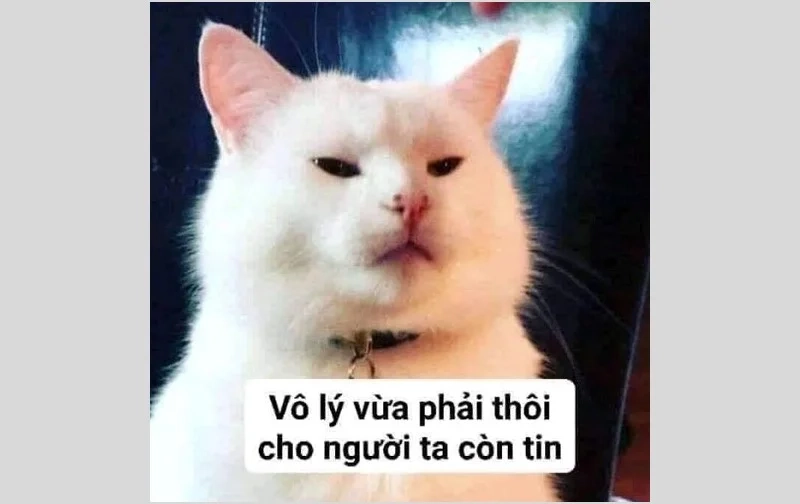 Meme giận dỗi thể hiện cảm xúc hài hước thú vị