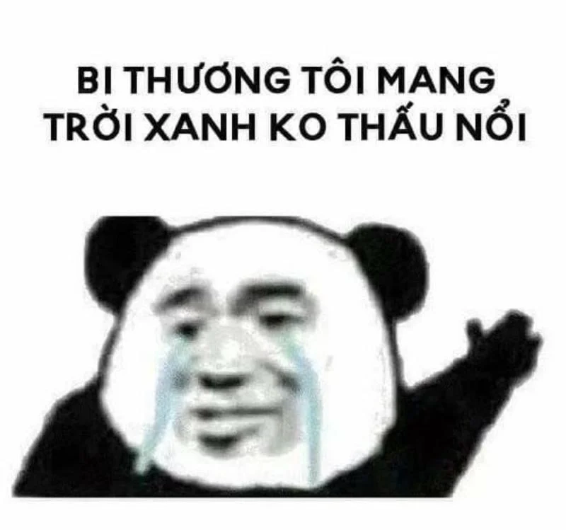 Đừng giận mà meme đáng yêu xua tan căng thẳng