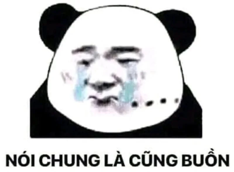 Meme mèo tức giận nhưng lại đáng yêu khó cưỡng