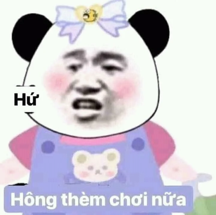 Ảnh meme mèo tức giận giúp bạn cười thư giãn