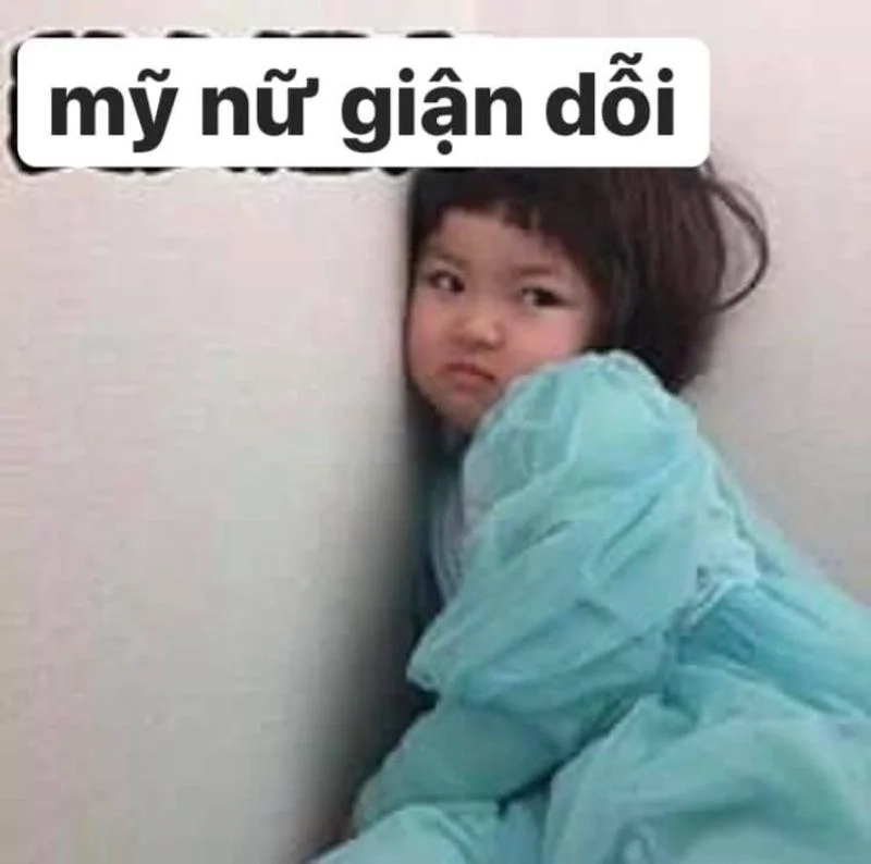 Mèo tức giận meme mang lại tiếng cười sảng khoái