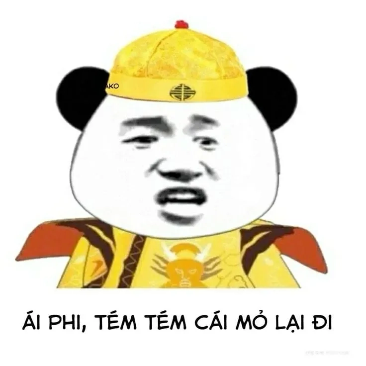 Meme quê đội quần gây nên tiếng cười sảng khoái