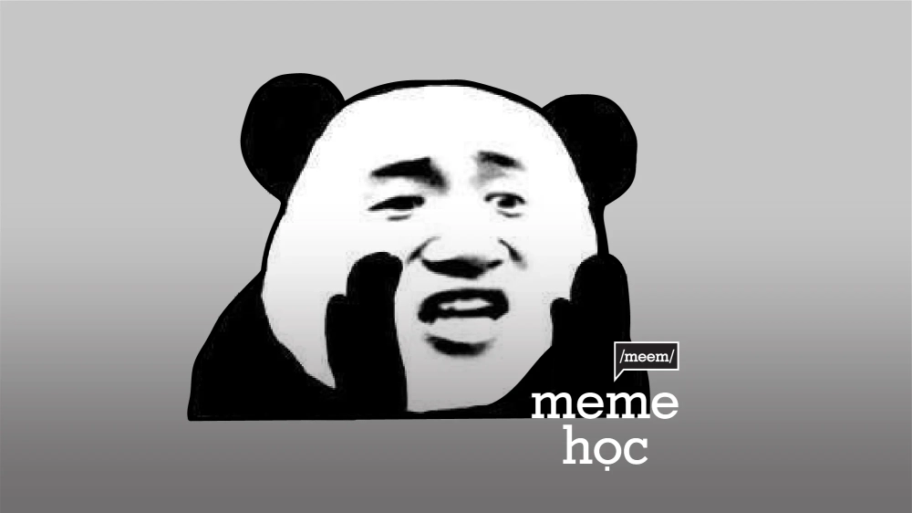 Phản ứng độc đáo của mèo meme reaction cat meme face