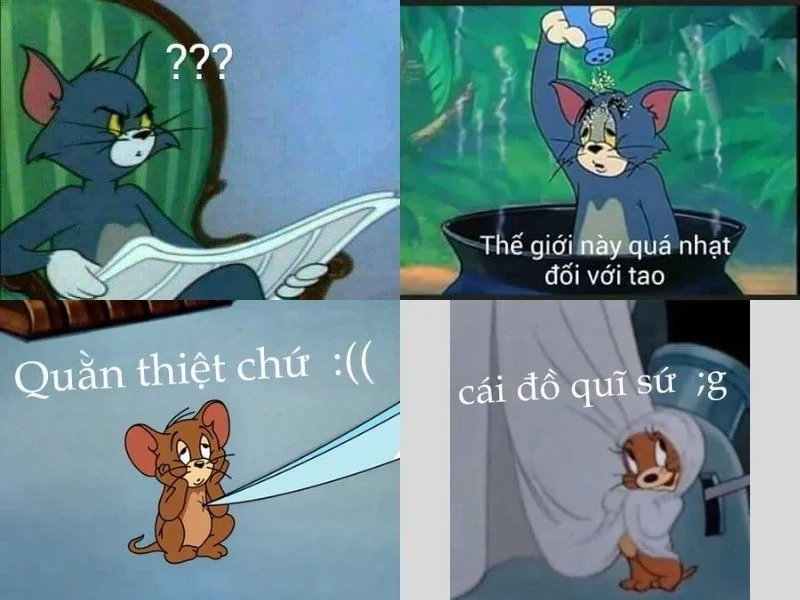 Tom trong trạng thái hài hước meme mặt tom meme face