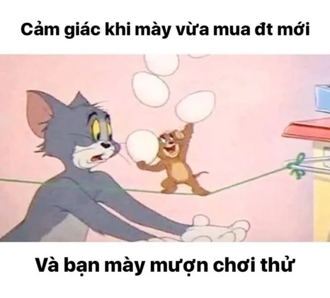 Khoảnh khắc đặc biệt từ meme mặt tom face meme