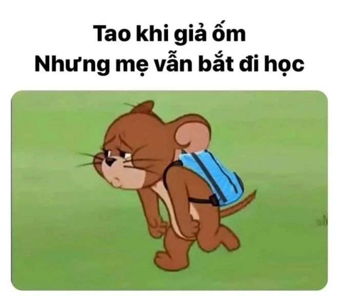 Khám phá mẫu thiết kế meme tom meme face template