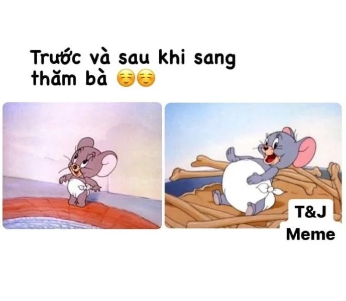 Mèo Tom biểu cảm độc lạ meme mèo tom meme face