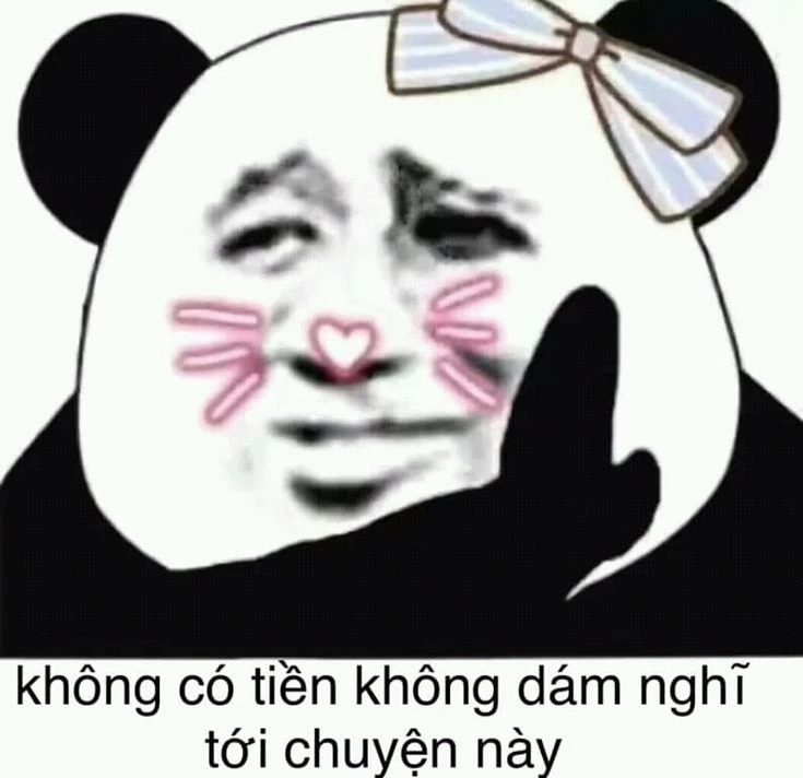 Tấu hài meme gấu trúc bựa Weibo cực lầy