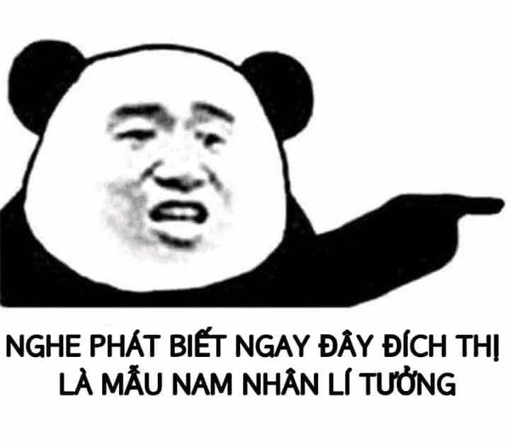 Gấu trúc mắt thâm meme lan truyền nhanh