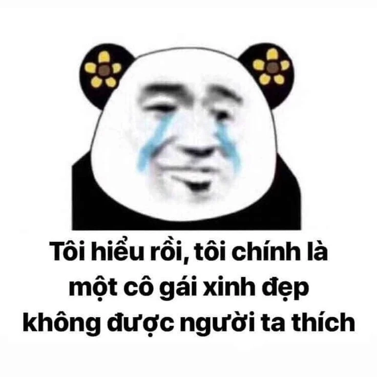 Gấu trúc meme cute nhìn là muốn yêu