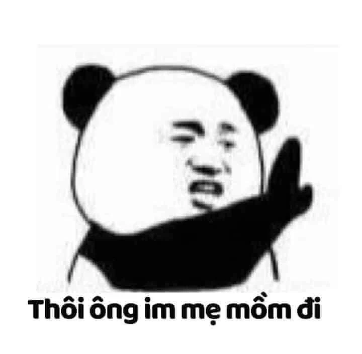 Meme gấu trúc xin lỗi khiến bạn cười