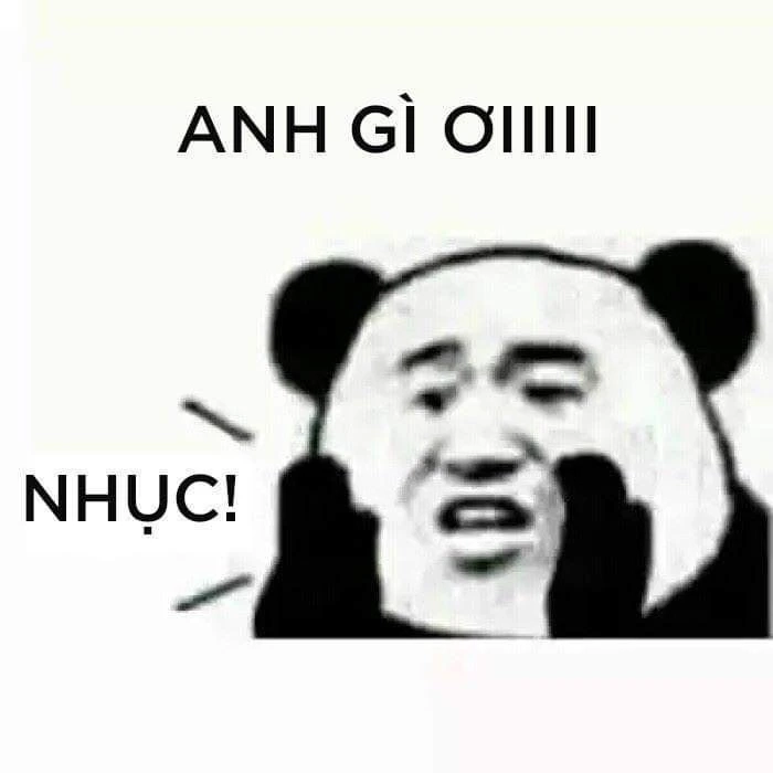 Meme hài gấu trúc làm bạn bật cười