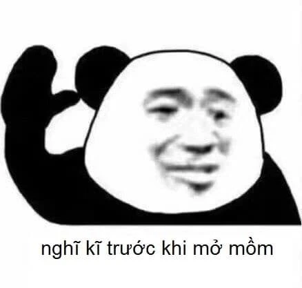 Meme gấu trúc thức khuya khiến bạn phì cười