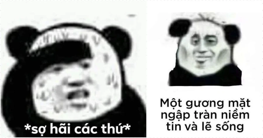 Weibo meme gấu trúc troll face cực hài