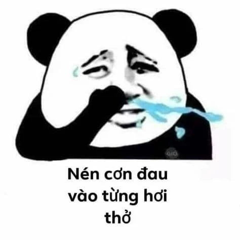 Gấu trúc troll meme kết thúc bài thuyết trình vui nhộn